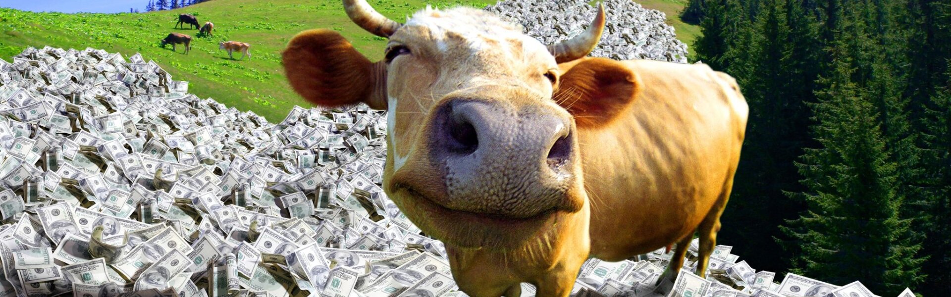 novo nordisk vacca da soldi